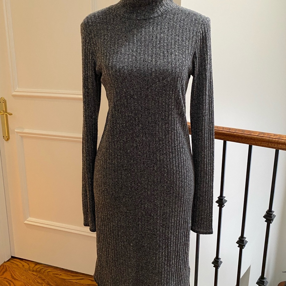 Wilfred Free Dress